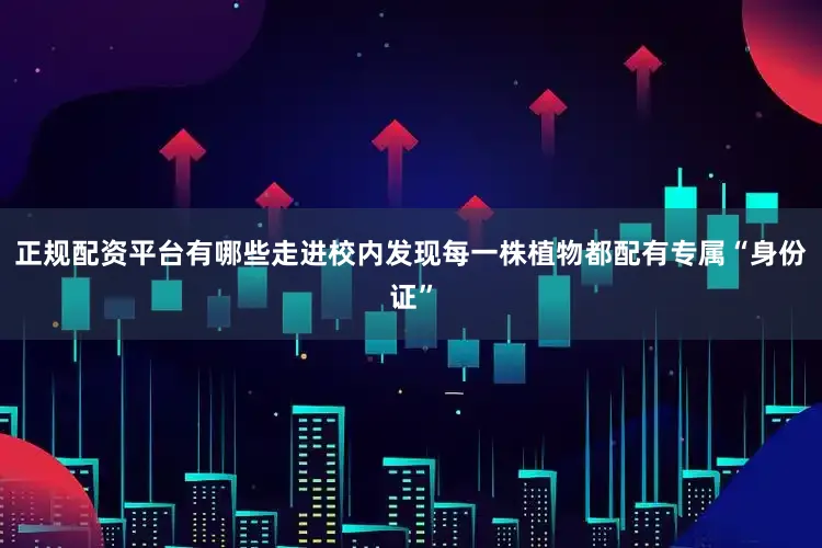 正规配资平台有哪些走进校内发现每一株植物都配有专属“身份证”