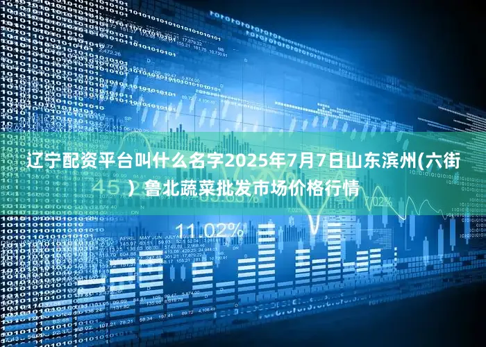 辽宁配资平台叫什么名字2025年7月7日山东滨州(六街）鲁北蔬菜批发市场价格行情