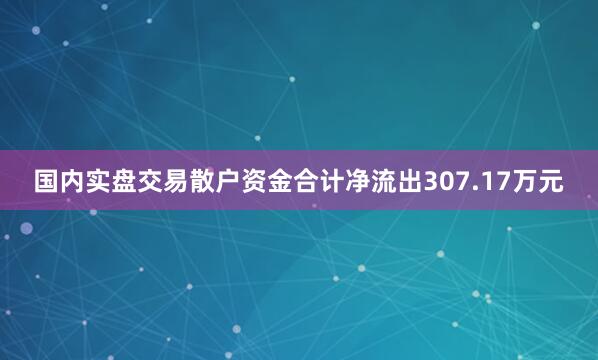 国内实盘交易散户资金合计净流出307.17万元