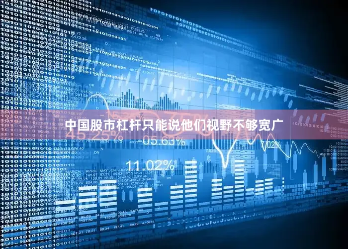 中国股市杠杆只能说他们视野不够宽广